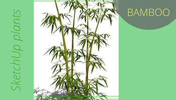 Sketchup plants