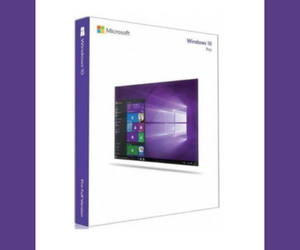Windows 10 Professional 32/64 Bit