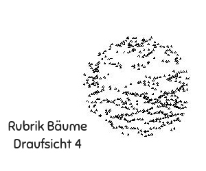 Baum Draufsicht