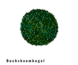Buchsbaumkugel