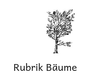 Product#012 Baum 01