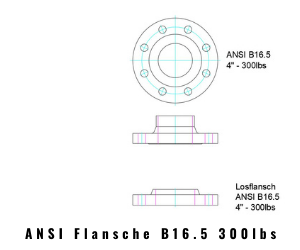 ANSI FLANGES B16.5 300lbs