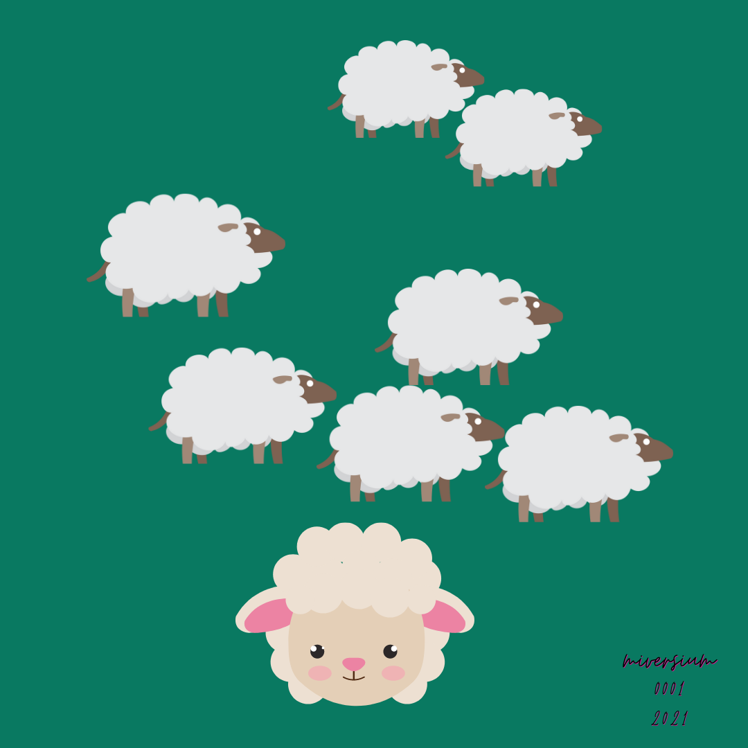 SHEEP