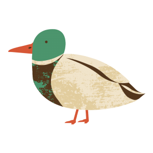 Ente