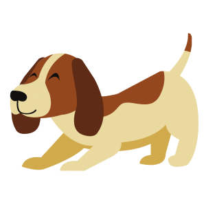 Hund