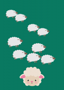 sheep1