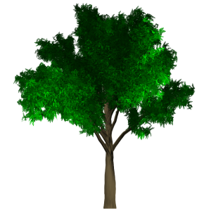 tree-05