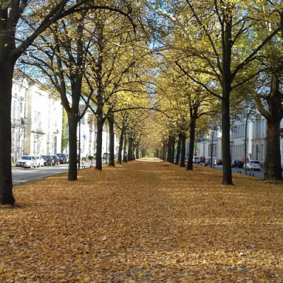 Herbst