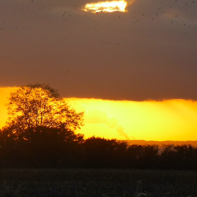 Wetterbilder